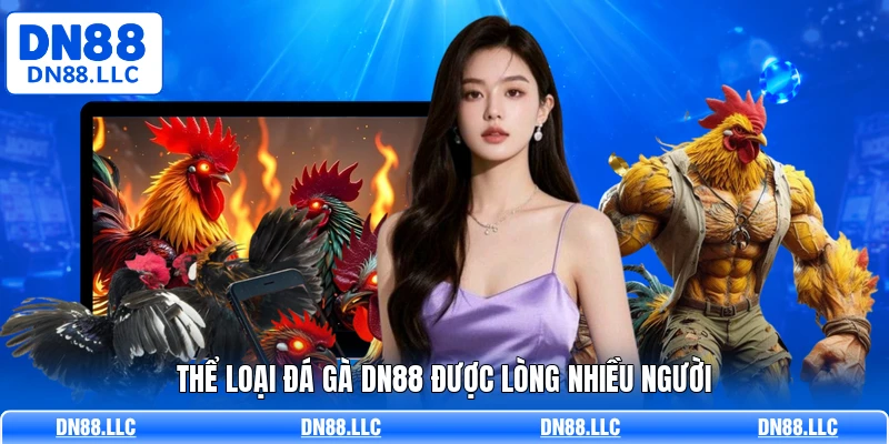 Thể loại đá gà DN88 được lòng nhiều người